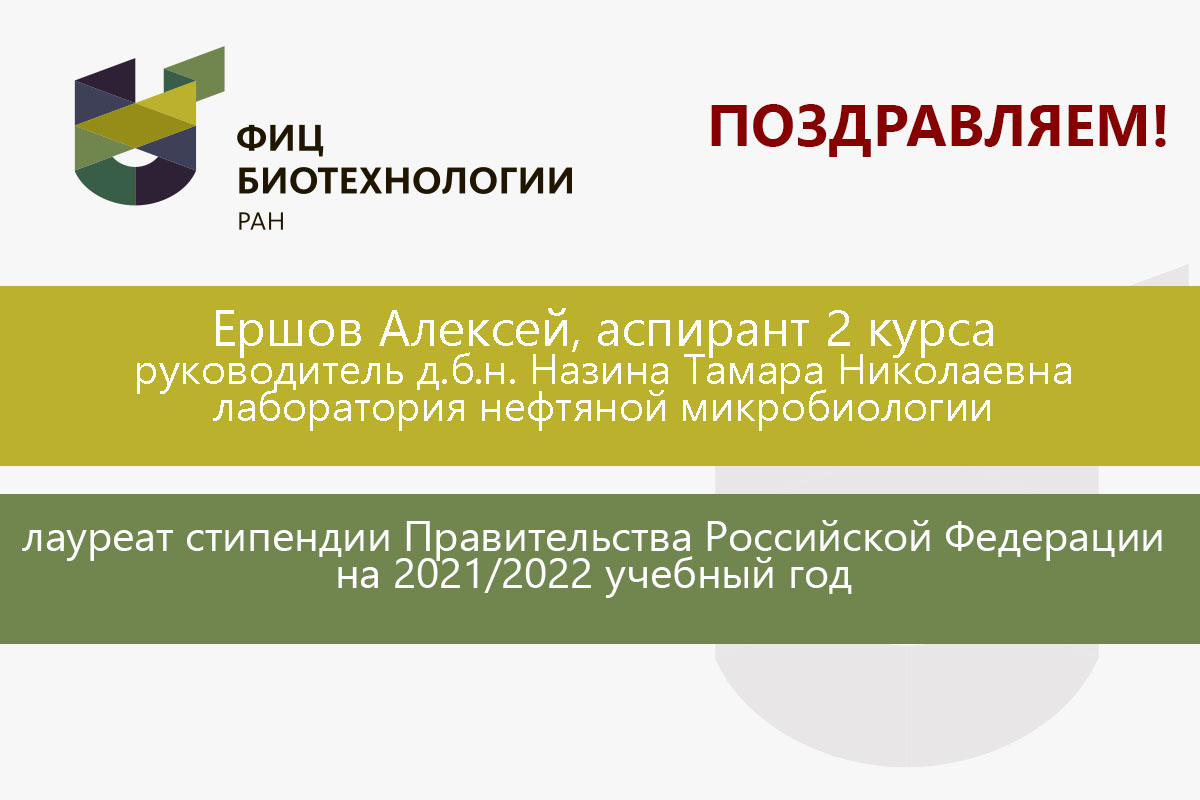 Стипендия правительства 2023. Стипендия правительства РФ. Стипендия правительства Российской Федерации размер. Стипендия правительства РФ 2021-2022. Стипендия правительства РФ 2022 размер.