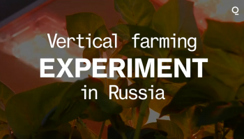 Russia’s Vertical Farm Experiment