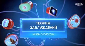 Мифы о плесени