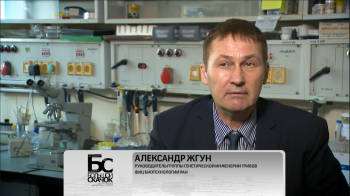 Большой скачок. Царство грибов