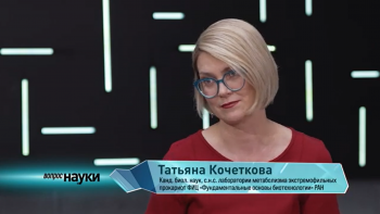 Археи — открытие которое переписало дерево жизни